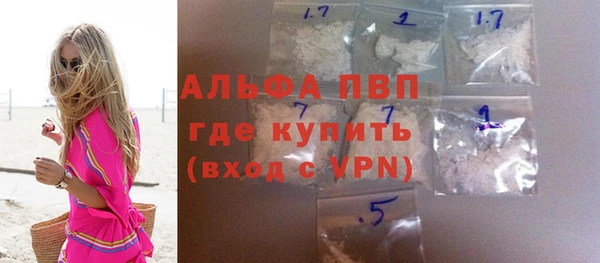 прущие грибы Волосово