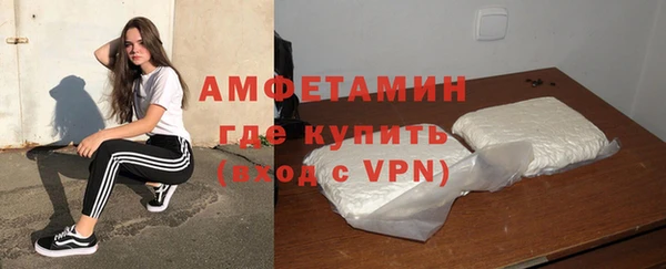 прущие грибы Волосово