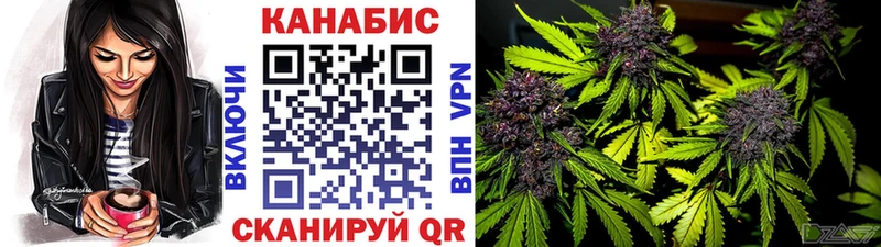Бошки марихуана планчик  ссылка на мегу маркетплейс  Ишимбай  где купить наркоту 